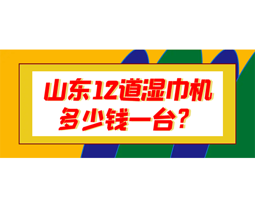 山東12道濕巾機(jī)多少錢(qián)一臺(tái)？